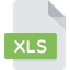 XLS file
